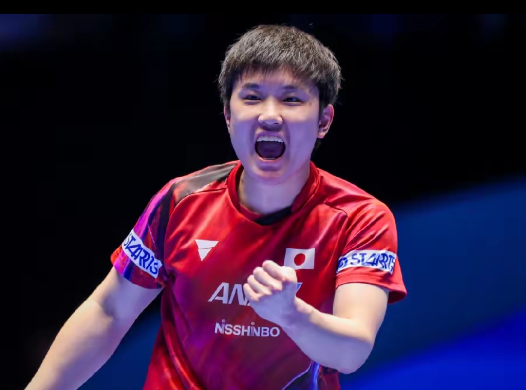 这种战术效 这种战术效